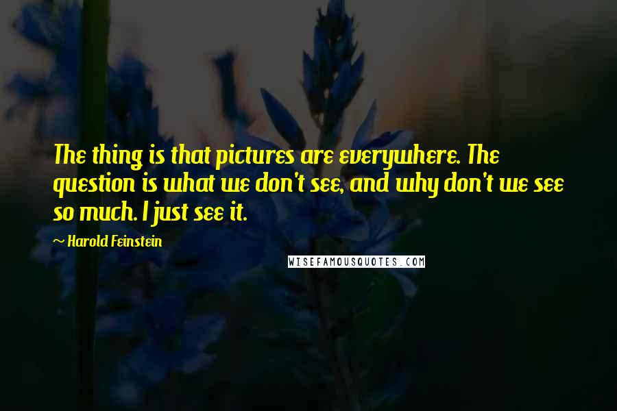 Harold Feinstein Quotes: The thing is that pictures are everywhere. The question is what we don't see, and why don't we see so much. I just see it.