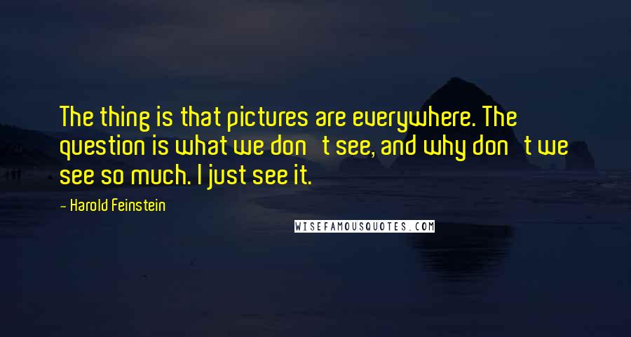 Harold Feinstein Quotes: The thing is that pictures are everywhere. The question is what we don't see, and why don't we see so much. I just see it.
