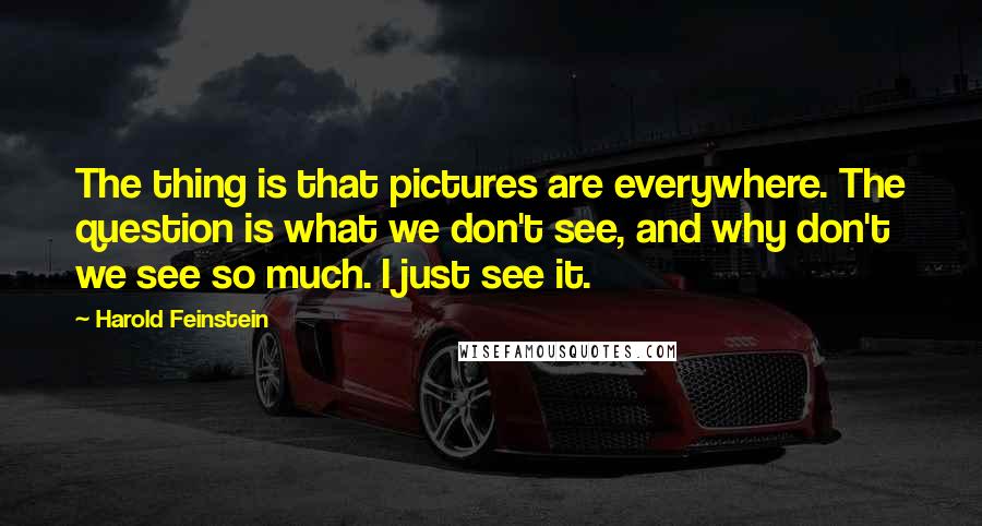 Harold Feinstein Quotes: The thing is that pictures are everywhere. The question is what we don't see, and why don't we see so much. I just see it.