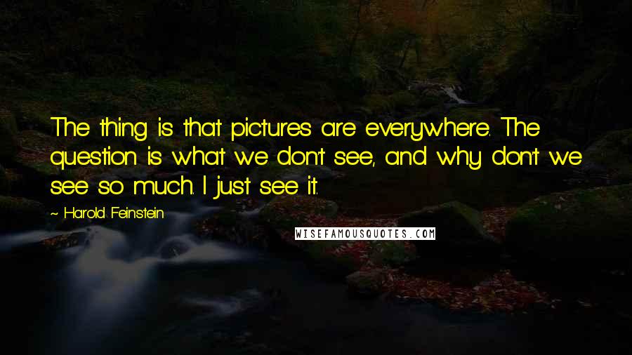 Harold Feinstein Quotes: The thing is that pictures are everywhere. The question is what we don't see, and why don't we see so much. I just see it.