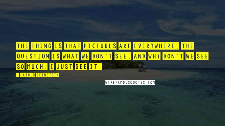 Harold Feinstein Quotes: The thing is that pictures are everywhere. The question is what we don't see, and why don't we see so much. I just see it.