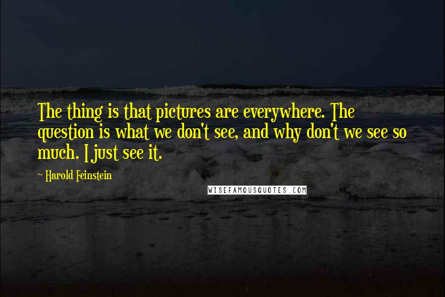 Harold Feinstein Quotes: The thing is that pictures are everywhere. The question is what we don't see, and why don't we see so much. I just see it.