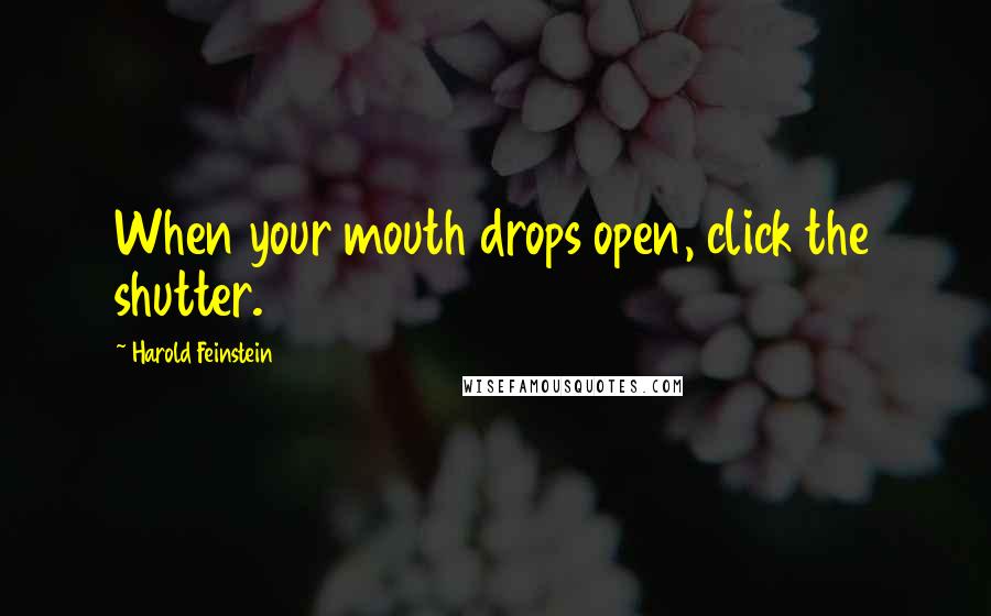 Harold Feinstein Quotes: When your mouth drops open, click the shutter.