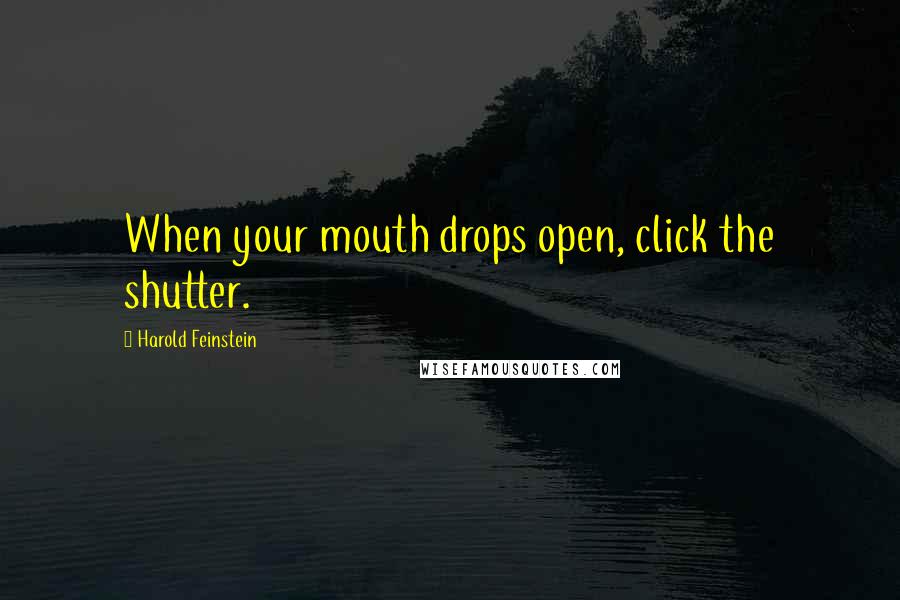 Harold Feinstein Quotes: When your mouth drops open, click the shutter.