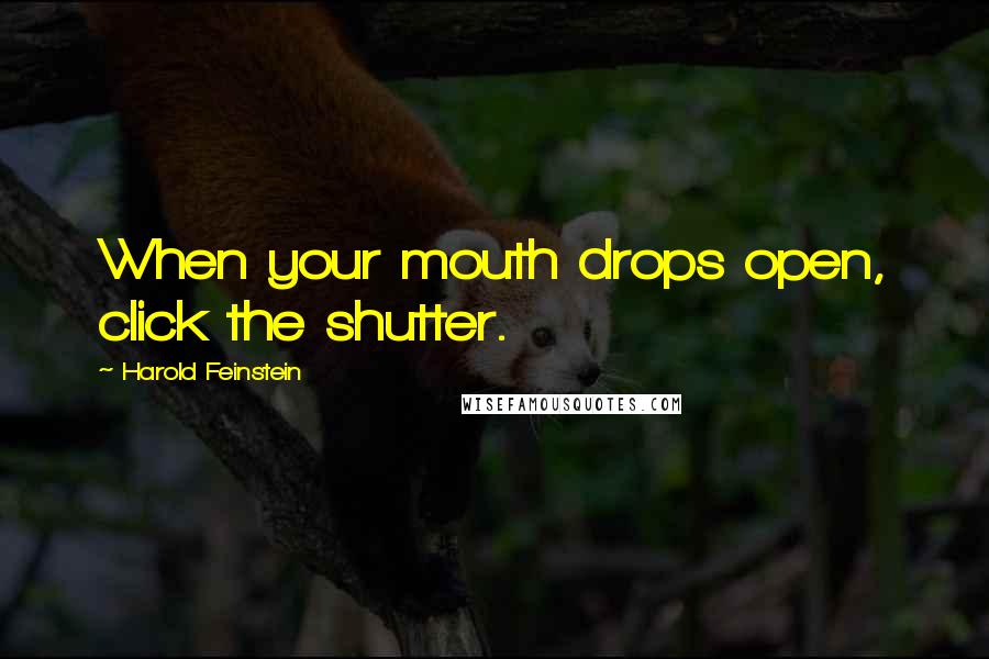 Harold Feinstein Quotes: When your mouth drops open, click the shutter.