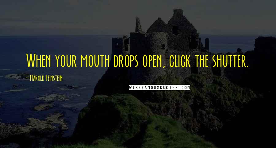 Harold Feinstein Quotes: When your mouth drops open, click the shutter.