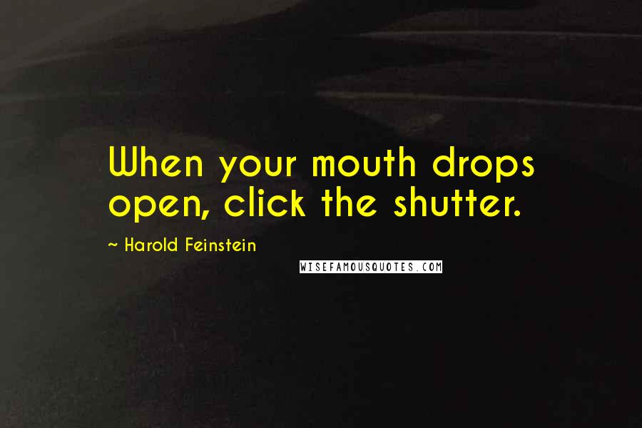 Harold Feinstein Quotes: When your mouth drops open, click the shutter.