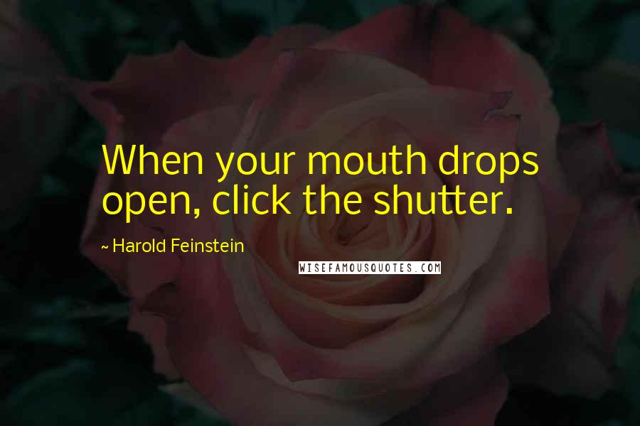 Harold Feinstein Quotes: When your mouth drops open, click the shutter.