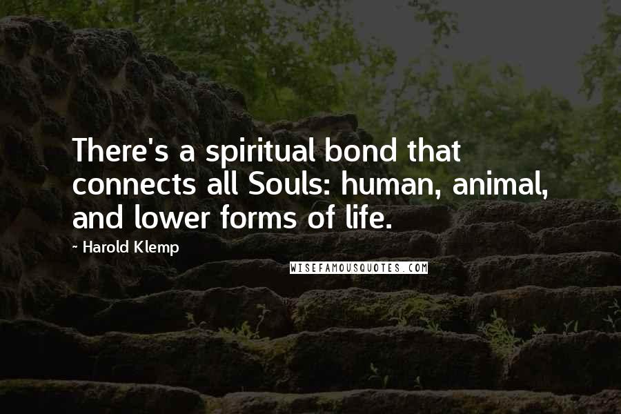 Harold Klemp Quotes: There's a spiritual bond that connects all Souls: human, animal, and lower forms of life.