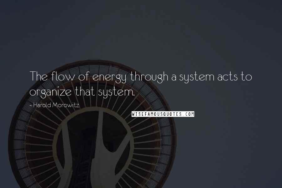 Harold Morowitz Quotes: The flow of energy through a system acts to organize that system.