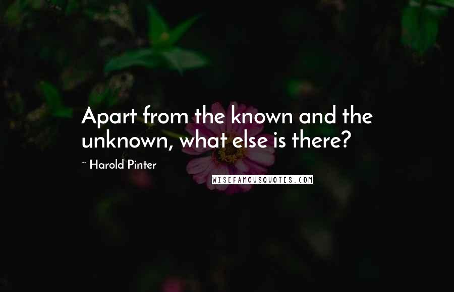 Harold Pinter Quotes: Apart from the known and the unknown, what else is there?