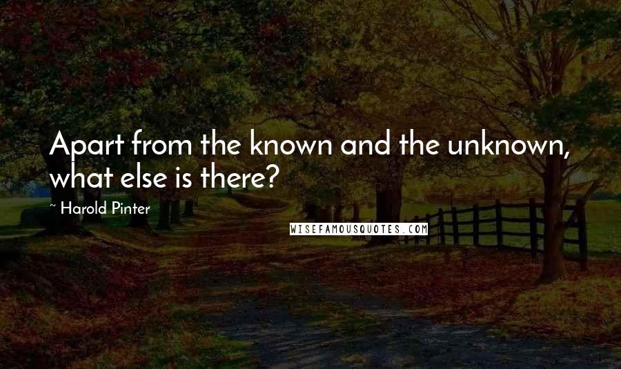 Harold Pinter Quotes: Apart from the known and the unknown, what else is there?