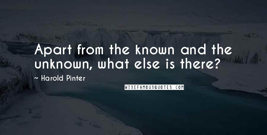 Harold Pinter Quotes: Apart from the known and the unknown, what else is there?