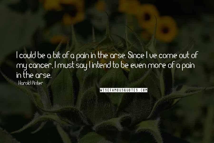 Harold Pinter Quotes: I could be a bit of a pain in the arse. Since I've come out of my cancer, I must say I intend to be even more of a pain in the arse.