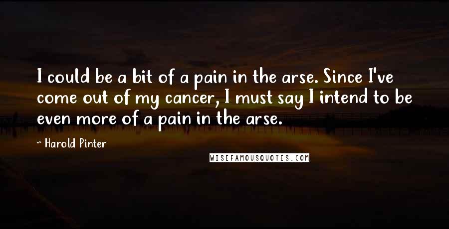 Harold Pinter Quotes: I could be a bit of a pain in the arse. Since I've come out of my cancer, I must say I intend to be even more of a pain in the arse.