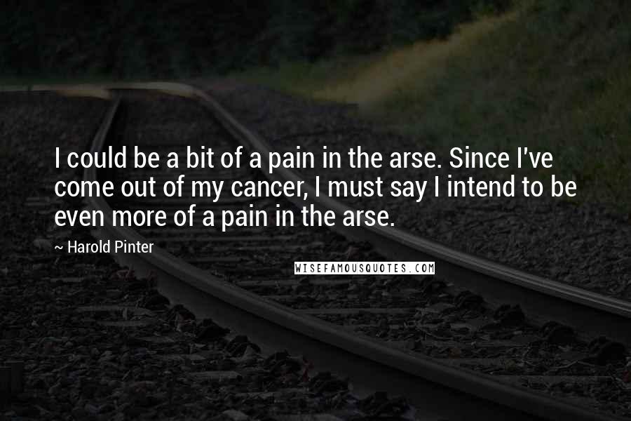 Harold Pinter Quotes: I could be a bit of a pain in the arse. Since I've come out of my cancer, I must say I intend to be even more of a pain in the arse.