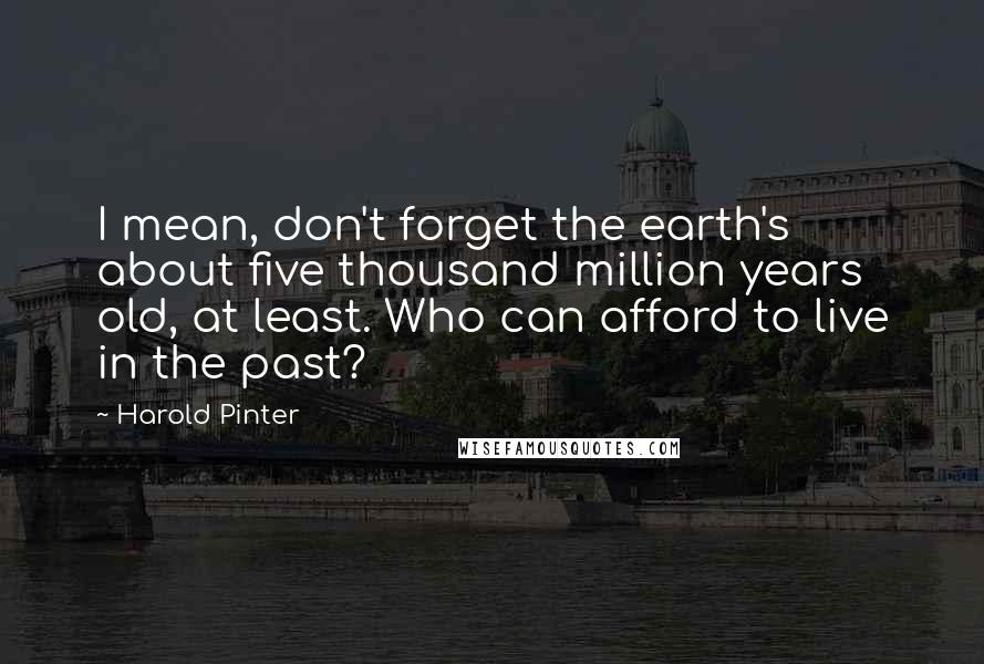 Harold Pinter Quotes: I mean, don't forget the earth's about five thousand million years old, at least. Who can afford to live in the past?