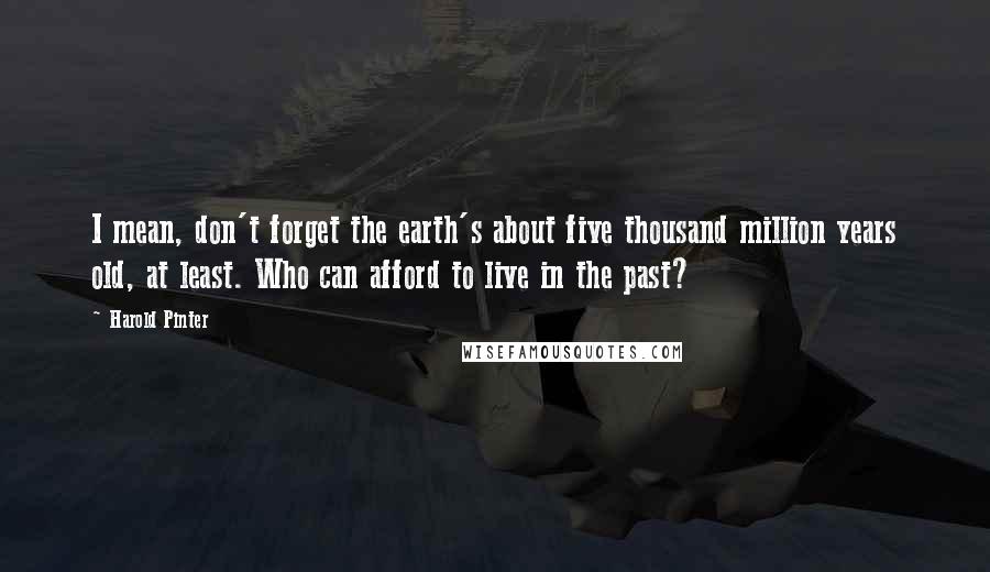Harold Pinter Quotes: I mean, don't forget the earth's about five thousand million years old, at least. Who can afford to live in the past?