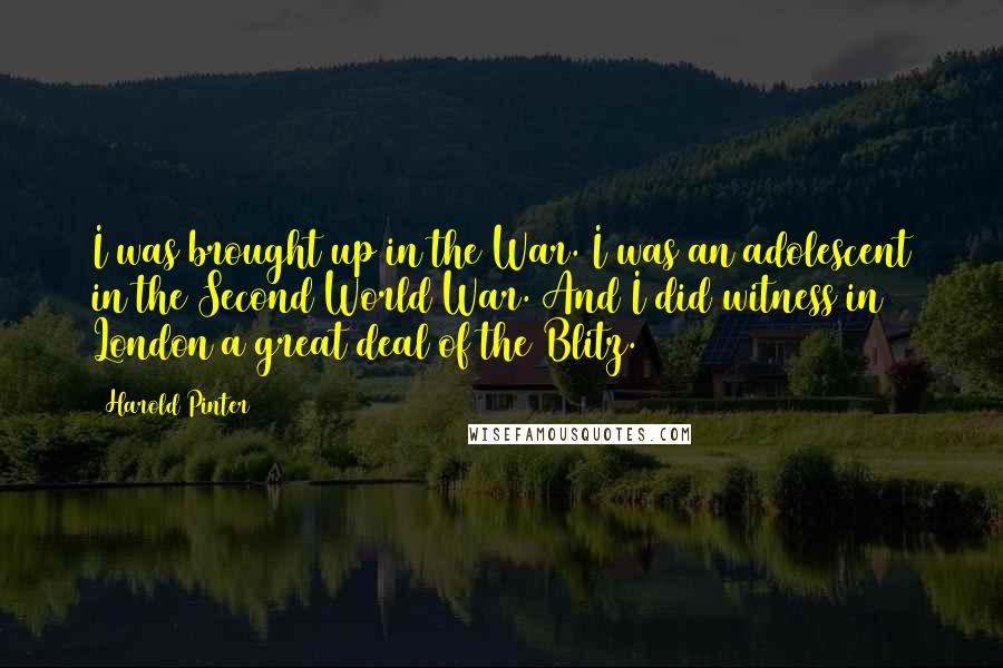 Harold Pinter Quotes: I was brought up in the War. I was an adolescent in the Second World War. And I did witness in London a great deal of the Blitz.