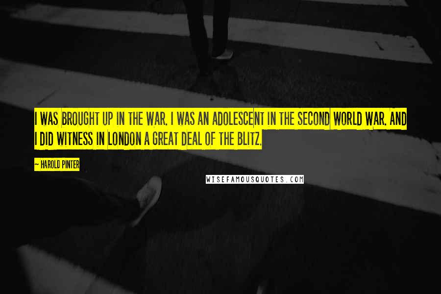 Harold Pinter Quotes: I was brought up in the War. I was an adolescent in the Second World War. And I did witness in London a great deal of the Blitz.