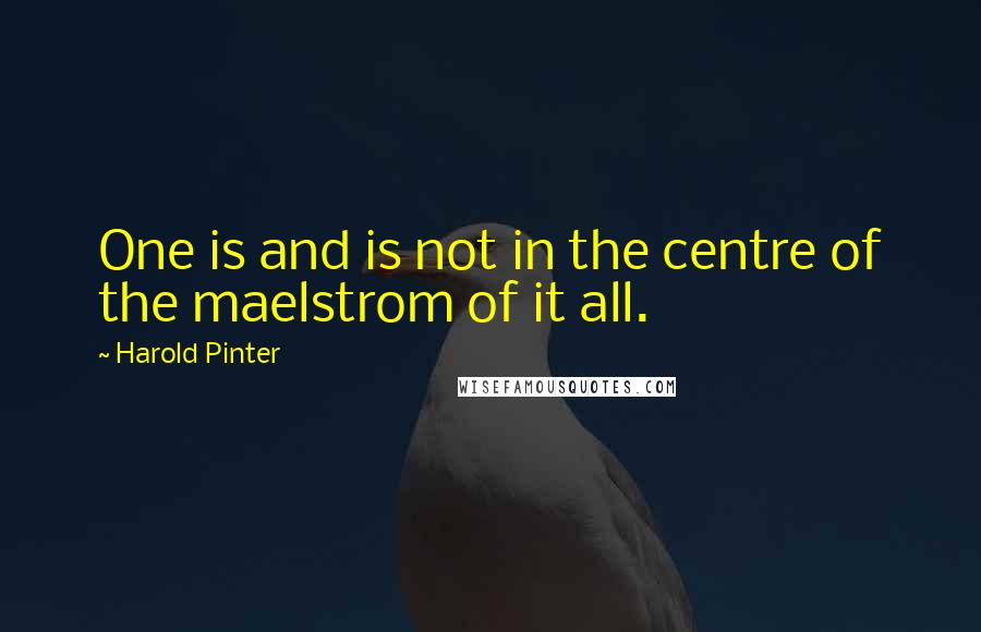 Harold Pinter Quotes: One is and is not in the centre of the maelstrom of it all.