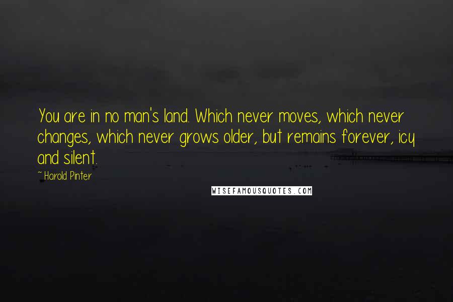 Harold Pinter Quotes: You are in no man's land. Which never moves, which never changes, which never grows older, but remains forever, icy and silent.