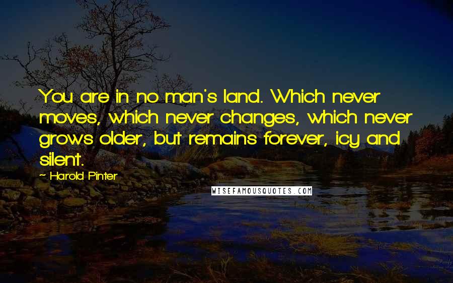 Harold Pinter Quotes: You are in no man's land. Which never moves, which never changes, which never grows older, but remains forever, icy and silent.