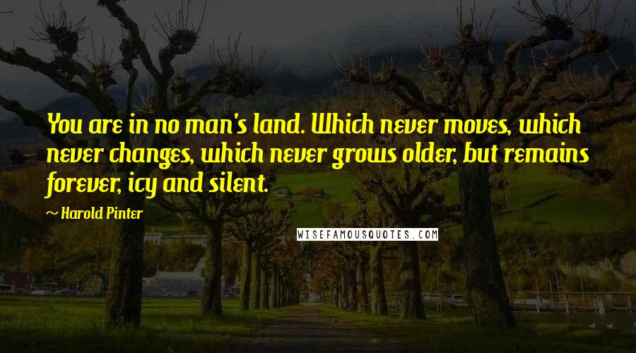 Harold Pinter Quotes: You are in no man's land. Which never moves, which never changes, which never grows older, but remains forever, icy and silent.