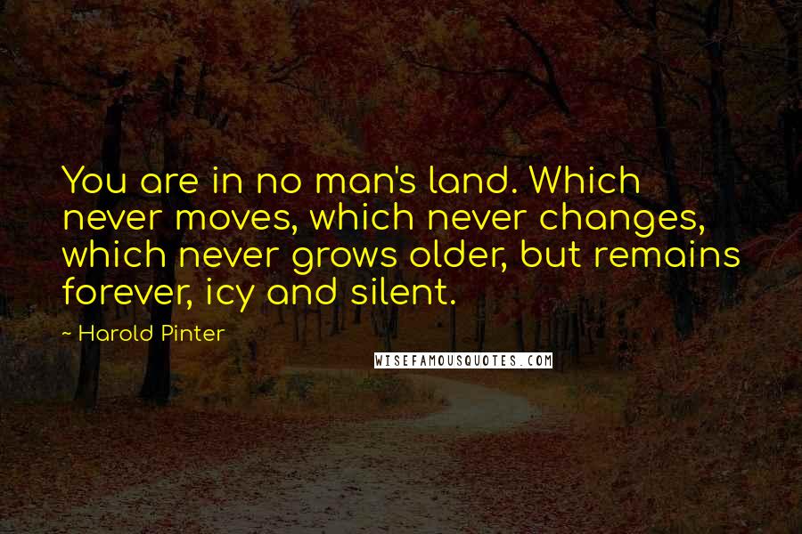 Harold Pinter Quotes: You are in no man's land. Which never moves, which never changes, which never grows older, but remains forever, icy and silent.