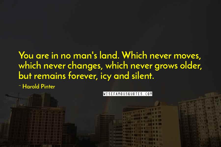 Harold Pinter Quotes: You are in no man's land. Which never moves, which never changes, which never grows older, but remains forever, icy and silent.
