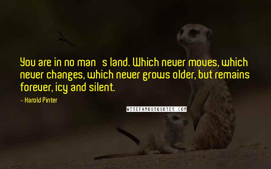 Harold Pinter Quotes: You are in no man's land. Which never moves, which never changes, which never grows older, but remains forever, icy and silent.