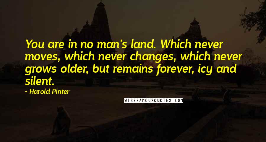 Harold Pinter Quotes: You are in no man's land. Which never moves, which never changes, which never grows older, but remains forever, icy and silent.