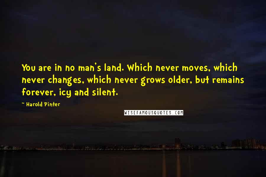 Harold Pinter Quotes: You are in no man's land. Which never moves, which never changes, which never grows older, but remains forever, icy and silent.