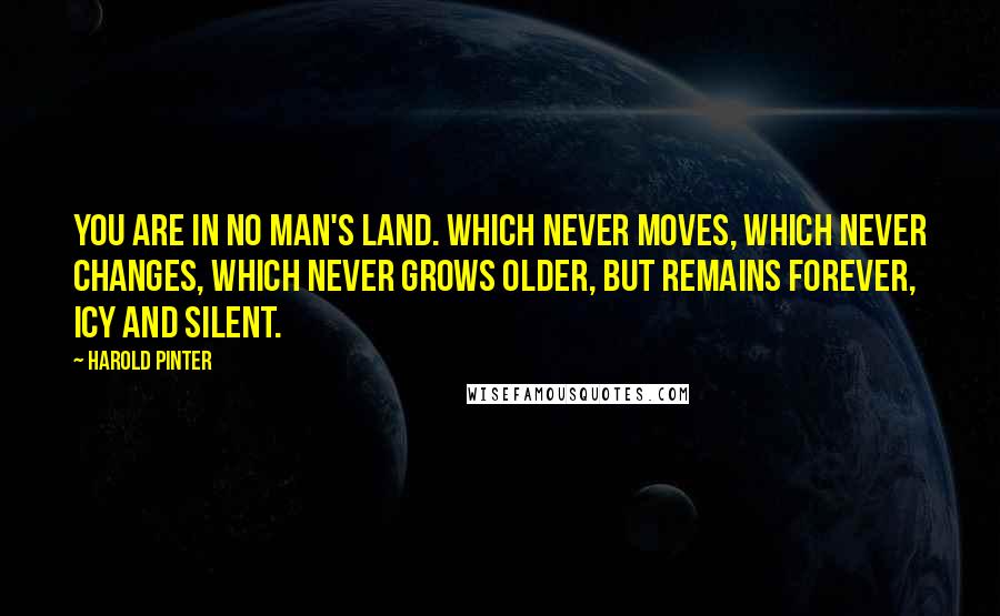 Harold Pinter Quotes: You are in no man's land. Which never moves, which never changes, which never grows older, but remains forever, icy and silent.
