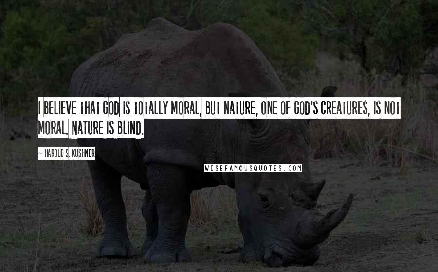 Harold S. Kushner Quotes: I believe that God is totally moral, but nature, one of God's creatures, is not moral. Nature is blind.