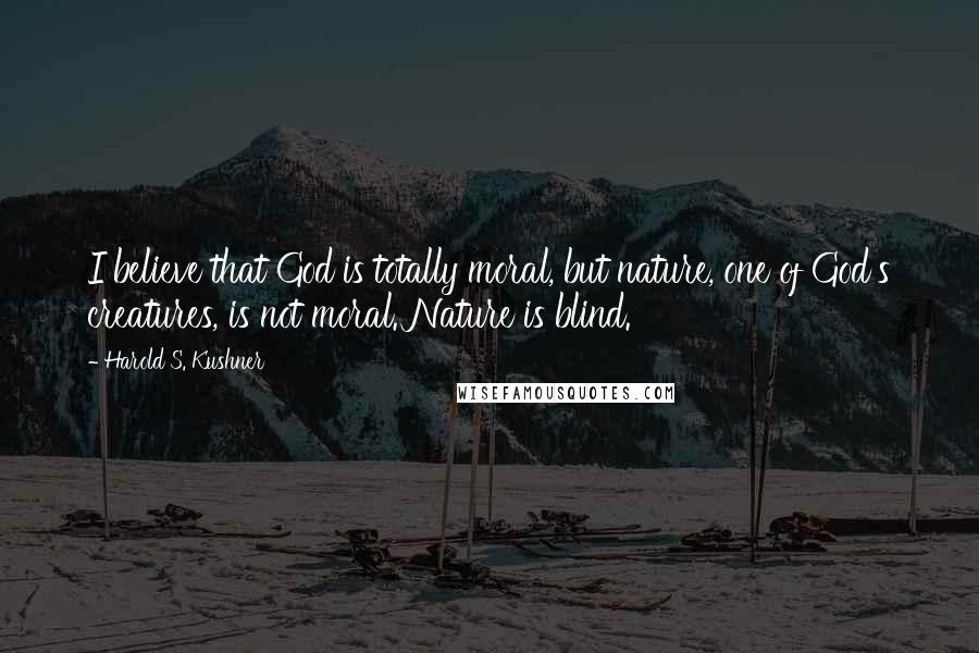 Harold S. Kushner Quotes: I believe that God is totally moral, but nature, one of God's creatures, is not moral. Nature is blind.