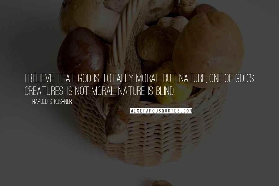 Harold S. Kushner Quotes: I believe that God is totally moral, but nature, one of God's creatures, is not moral. Nature is blind.