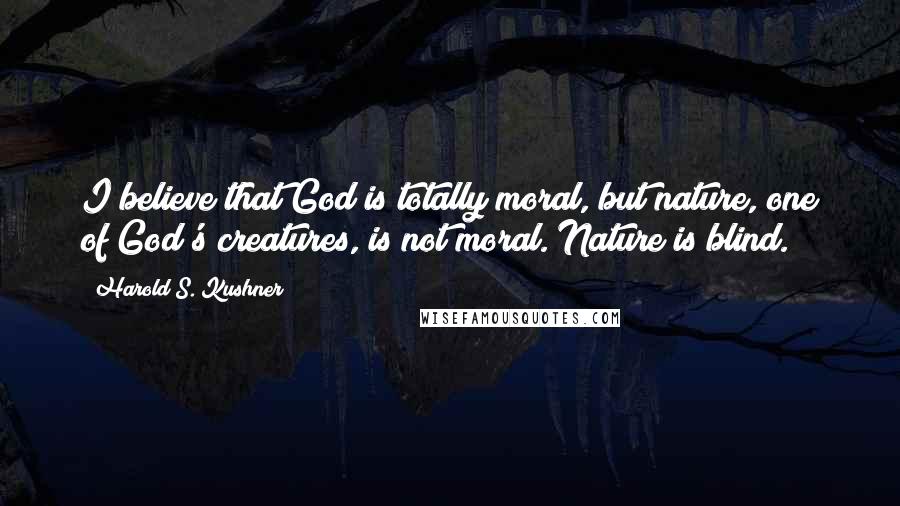 Harold S. Kushner Quotes: I believe that God is totally moral, but nature, one of God's creatures, is not moral. Nature is blind.