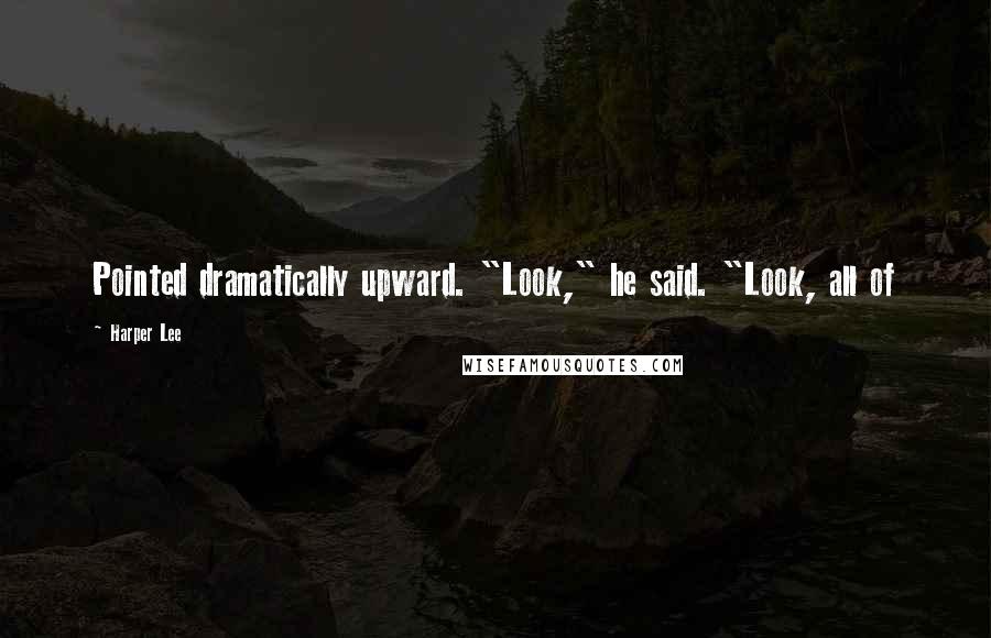 Harper Lee Quotes: Pointed dramatically upward. "Look," he said. "Look, all of