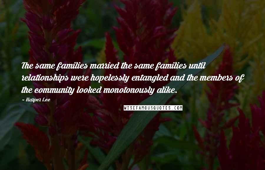 Harper Lee Quotes: The same families married the same families until relationships were hopelessly entangled and the members of the community looked monotonously alike.