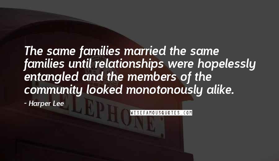 Harper Lee Quotes: The same families married the same families until relationships were hopelessly entangled and the members of the community looked monotonously alike.