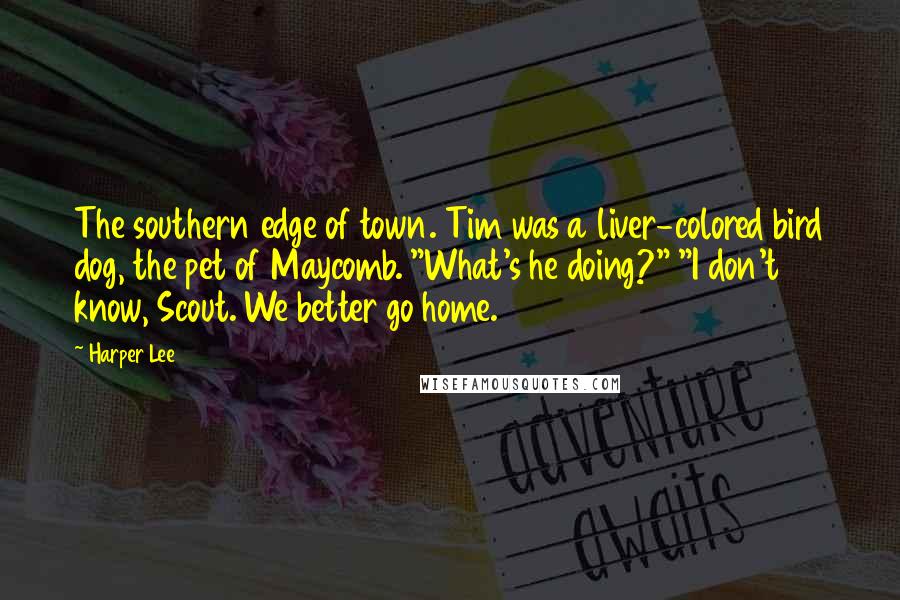 Harper Lee Quotes: The southern edge of town. Tim was a liver-colored bird dog, the pet of Maycomb. "What's he doing?" "I don't know, Scout. We better go home.