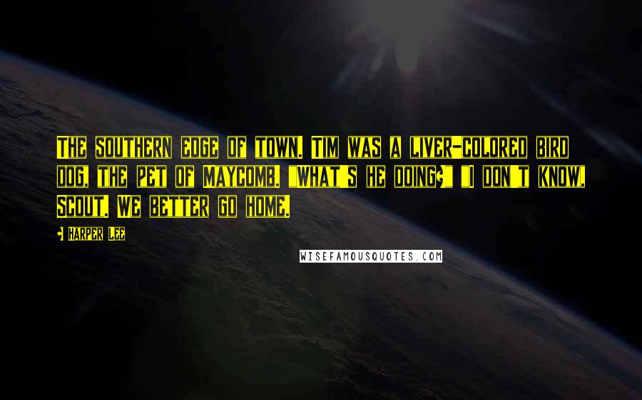 Harper Lee Quotes: The southern edge of town. Tim was a liver-colored bird dog, the pet of Maycomb. "What's he doing?" "I don't know, Scout. We better go home.