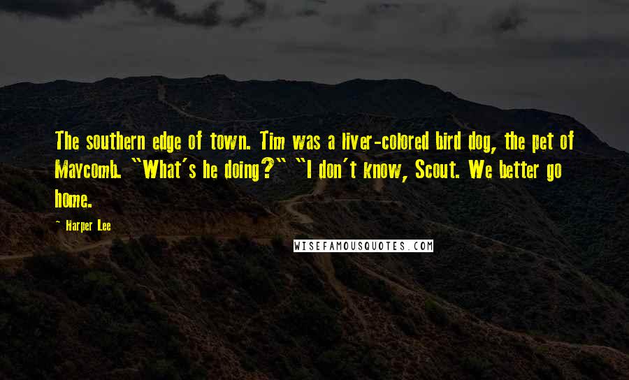 Harper Lee Quotes: The southern edge of town. Tim was a liver-colored bird dog, the pet of Maycomb. "What's he doing?" "I don't know, Scout. We better go home.