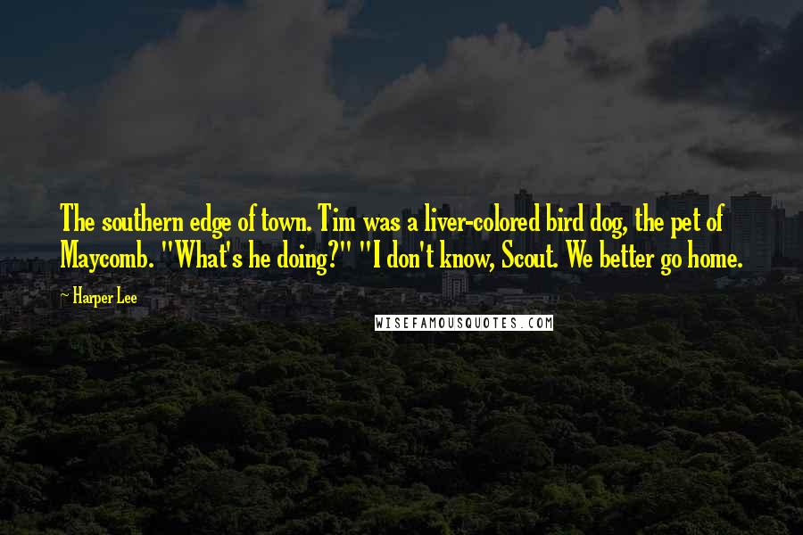 Harper Lee Quotes: The southern edge of town. Tim was a liver-colored bird dog, the pet of Maycomb. "What's he doing?" "I don't know, Scout. We better go home.