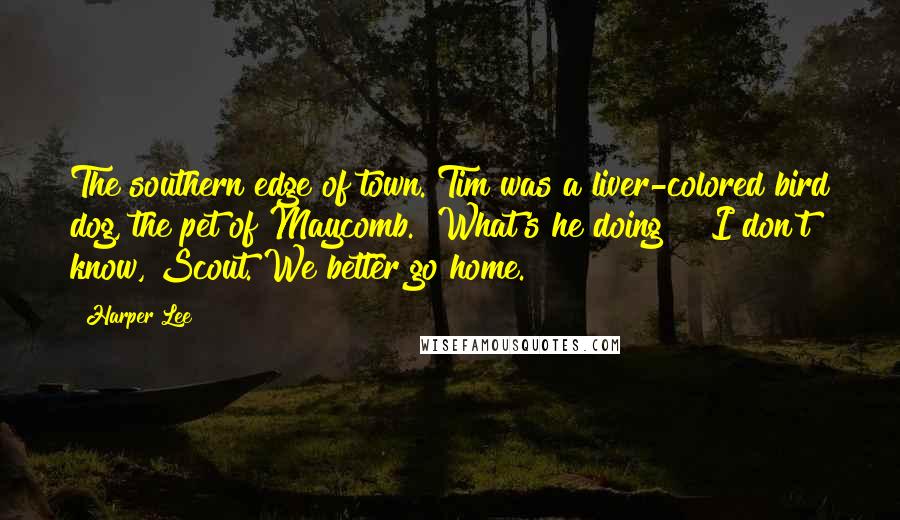 Harper Lee Quotes: The southern edge of town. Tim was a liver-colored bird dog, the pet of Maycomb. "What's he doing?" "I don't know, Scout. We better go home.