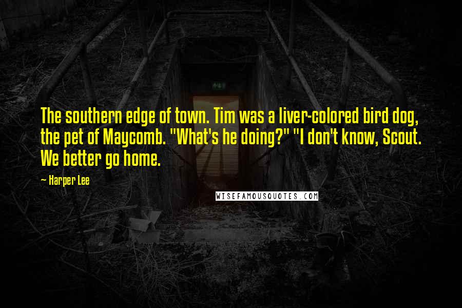 Harper Lee Quotes: The southern edge of town. Tim was a liver-colored bird dog, the pet of Maycomb. "What's he doing?" "I don't know, Scout. We better go home.