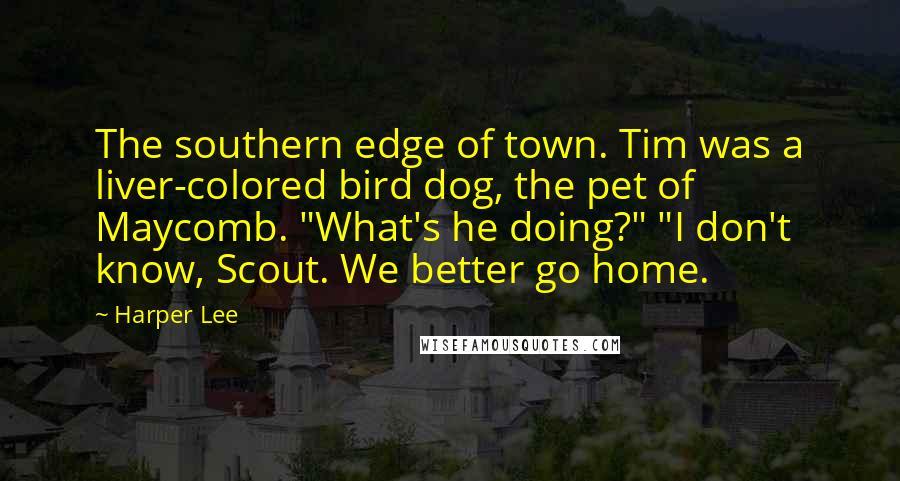 Harper Lee Quotes: The southern edge of town. Tim was a liver-colored bird dog, the pet of Maycomb. "What's he doing?" "I don't know, Scout. We better go home.