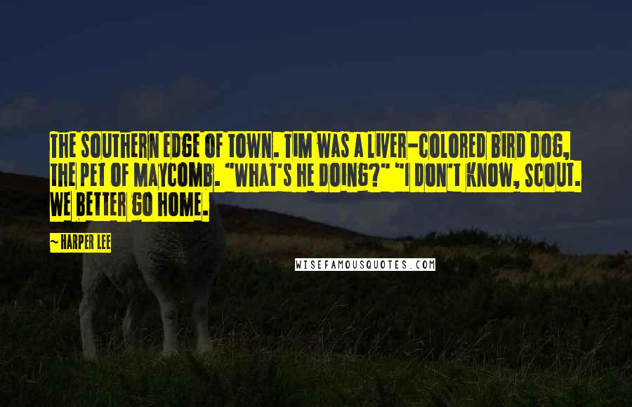 Harper Lee Quotes: The southern edge of town. Tim was a liver-colored bird dog, the pet of Maycomb. "What's he doing?" "I don't know, Scout. We better go home.