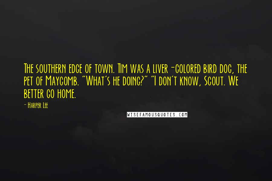 Harper Lee Quotes: The southern edge of town. Tim was a liver-colored bird dog, the pet of Maycomb. "What's he doing?" "I don't know, Scout. We better go home.